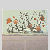 Fish tanks are dynamic