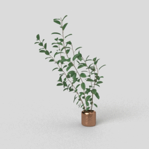 Vibrant Potted Plant 3D Model – Realistic Leaves & Copper Pot