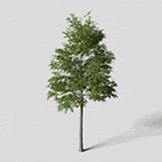 Vibrant Low-Poly 3D Tree Model for Modern Designs
