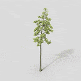 Background Tree 03-Dynamic