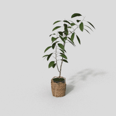 Green Abundance Indoor Plant 3D Model – Low Poly Natural Decor