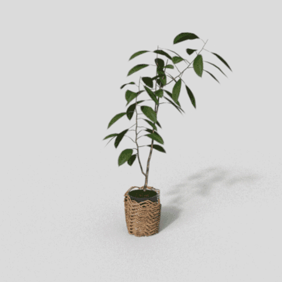 Green Abundance Indoor Plant 3D model