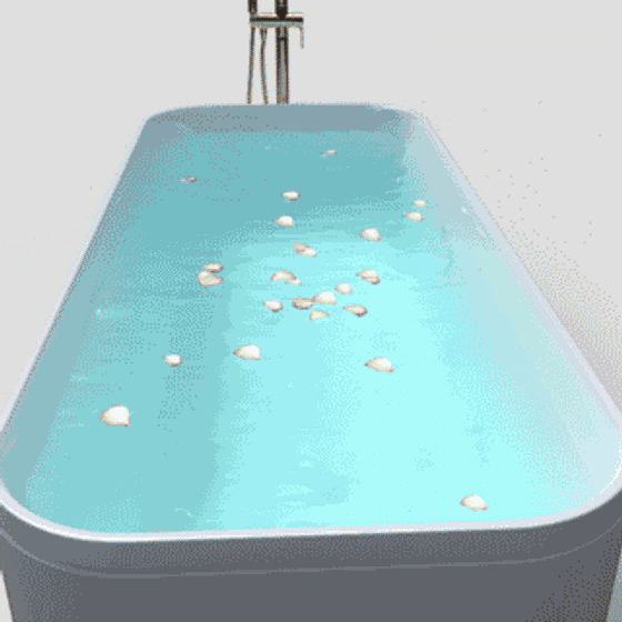 Elegant Bathtub 3D Model in White Finish