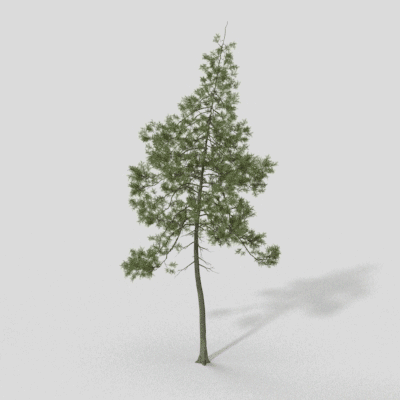 Background Tree 06