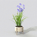 Elegant Iris Plant 3D model
