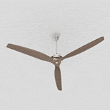 Ceiling fan 001_ dynamic