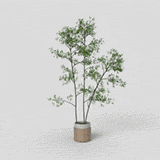 Urban Oasis Low Poly 3D Model