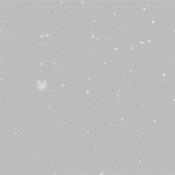 Snow 001_ Dynamic