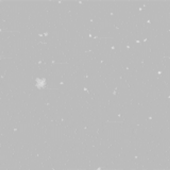 Snowfall Scene 3D model