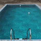 Swimming Pool 001_Dynamics