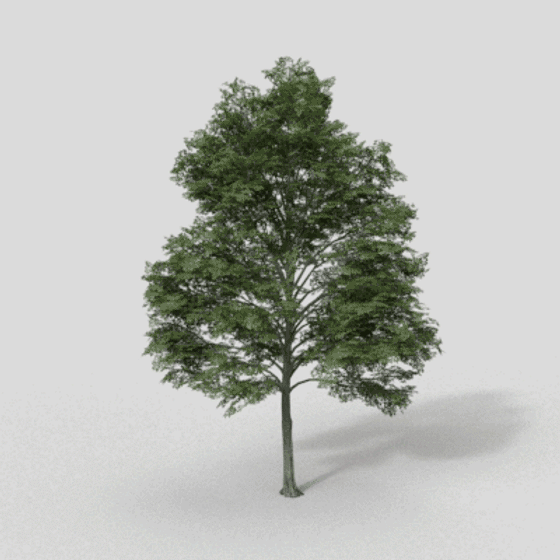 Tree Background 3D Model