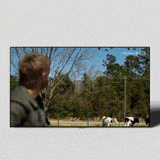 텔레비전_다이내믹