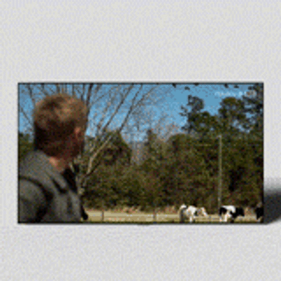 Country Retreat 3D model