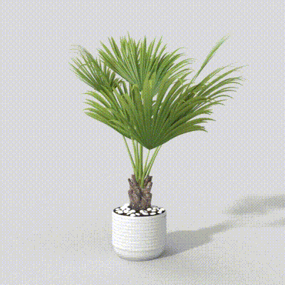 Vibrant Palm Plant 3D Model for Indoor Design